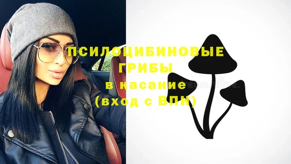 дживик Михайловск