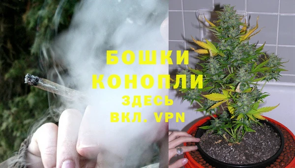 мяу мяу мука Мегион
