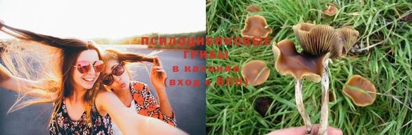 дживик Михайловск