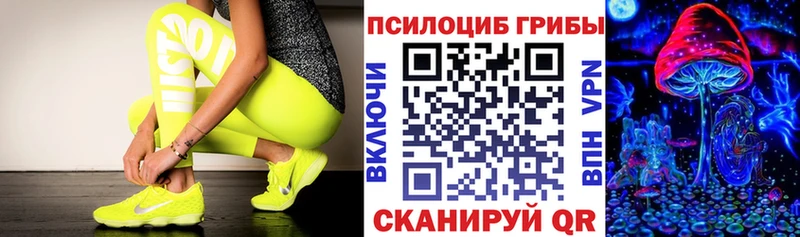 наркотики  Данков  Галлюциногенные грибы MAGIC MUSHROOMS 